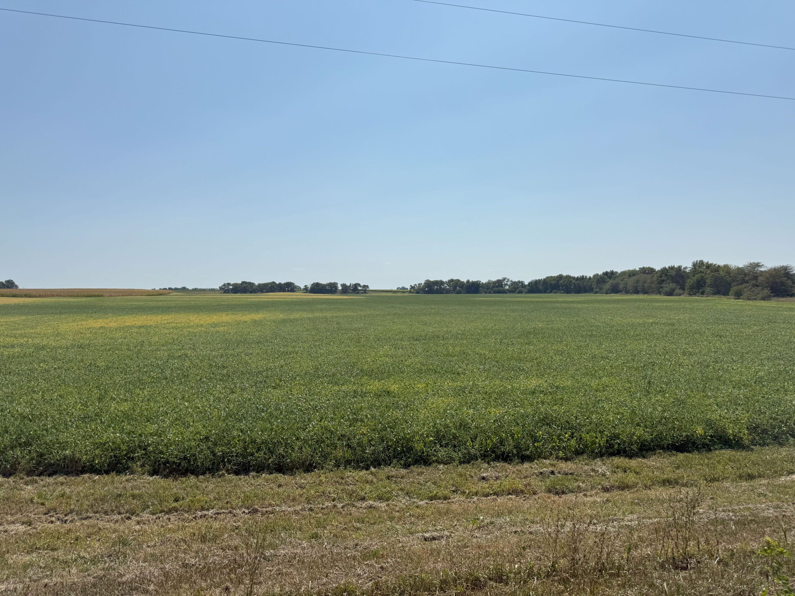 Rogers Farm Photo scaled